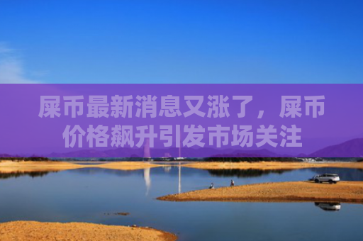 屎币最新消息又涨了，屎币价格飙升引发市场关注