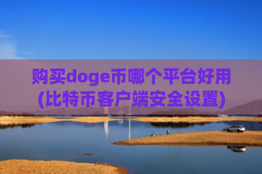 购买doge币哪个平台好用(比特币客户端安全设置)