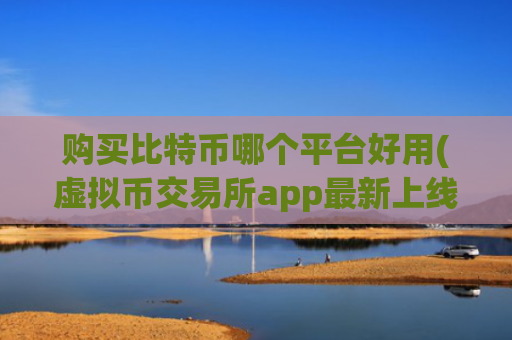 购买比特币哪个平台好用(虚拟币交易所app最新上线)