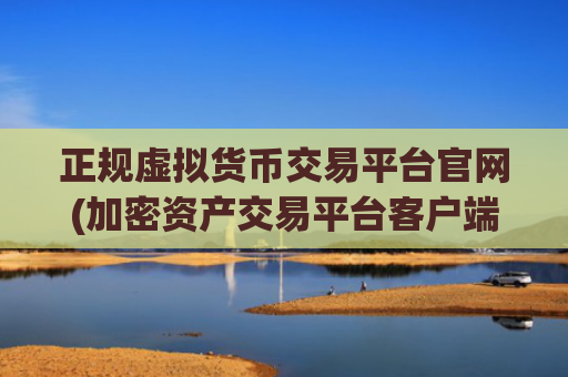 正规虚拟货币交易平台官网(加密资产交易平台客户端排行)