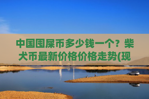 中国囤屎币多少钱一个?柴犬币最新价格价格走势(现价0.00019343元)