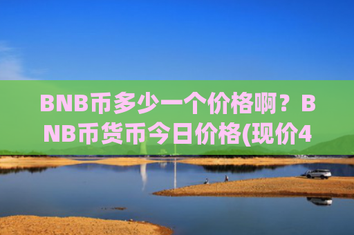 BNB币多少一个价格啊？BNB币货币今日价格(现价4975.84元)