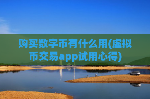购买数字币有什么用(虚拟币交易app试用心得)
