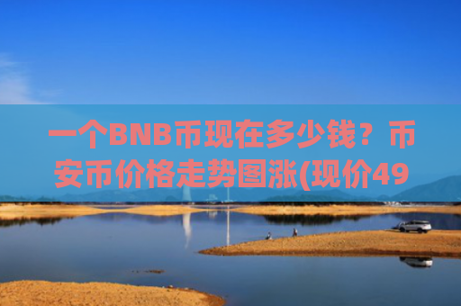 一个BNB币现在多少钱？币安币价格走势图涨(现价4997.97元)