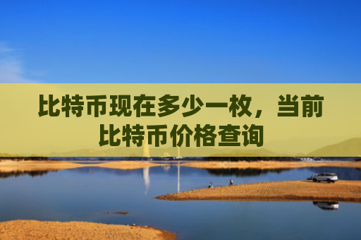 比特币现在多少一枚,当前比特币价格查询