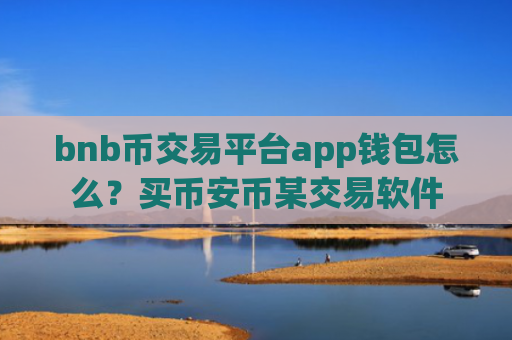 bnb币交易平台app钱包怎么？买币安币某交易软件