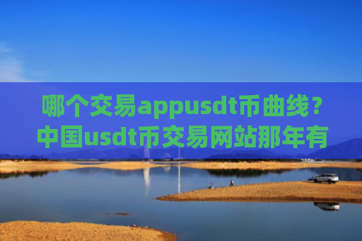 哪个交易appusdt币曲线？中国usdt币交易网站那年有的