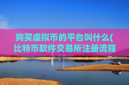 购买虚拟币的平台叫什么(比特币软件交易所注册流程详解)