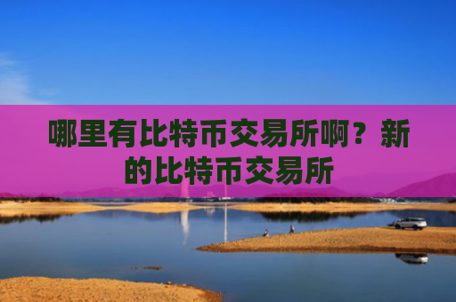 哪里有比特币交易所啊？新的比特币交易所