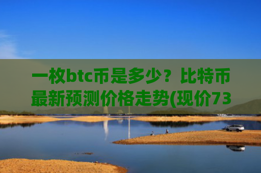 一枚btc币是多少？比特币最新预测价格走势(现价733788.84元)