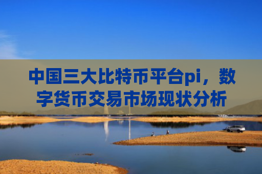 中国三大比特币平台pi，数字货币交易市场现状分析
