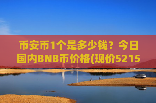 币安币1个是多少钱？今日国内BNB币价格(现价5215.01元)