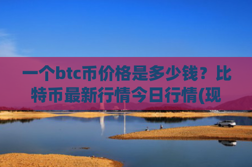 一个btc币价格是多少钱？比特币最新行情今日行情(现价733545.92元)