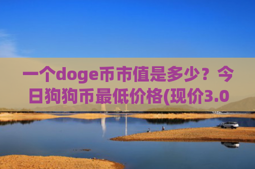 一个doge币市值是多少？今日狗狗币最低价格(现价3.028元)