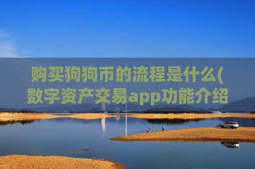 购买狗狗币的流程是什么(数字资产交易app功能介绍)