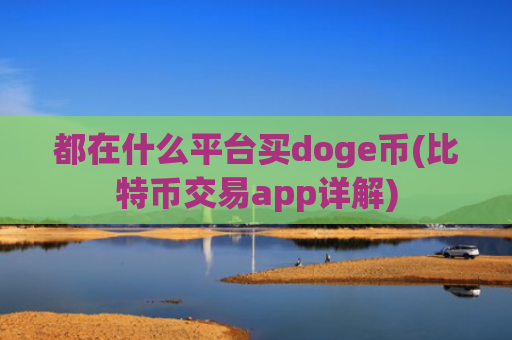 都在什么平台买doge币(比特币交易app详解)