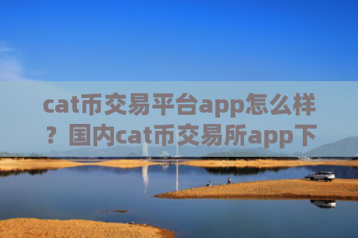cat币交易平台app怎么样？国内cat币交易所app下载好多