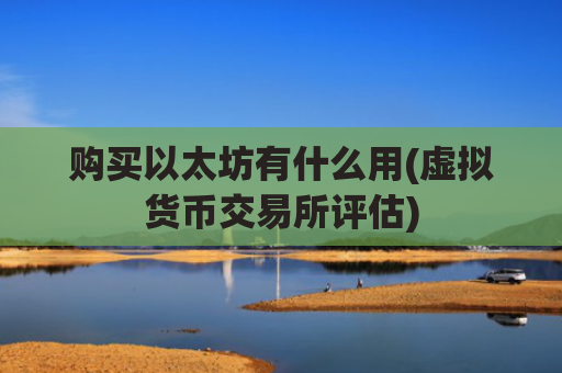 购买以太坊有什么用(虚拟货币交易所评估)