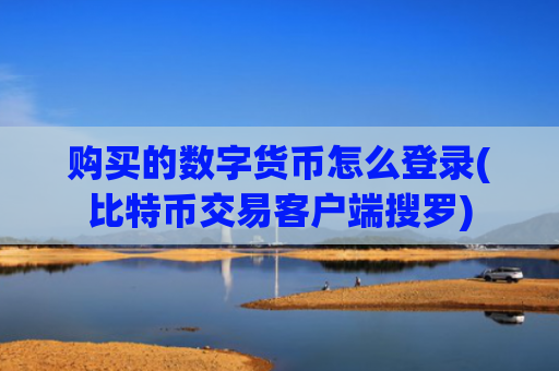 购买的数字货币怎么登录(比特币交易客户端搜罗)