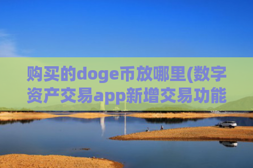 购买的doge币放哪里(数字资产交易app新增交易功能)