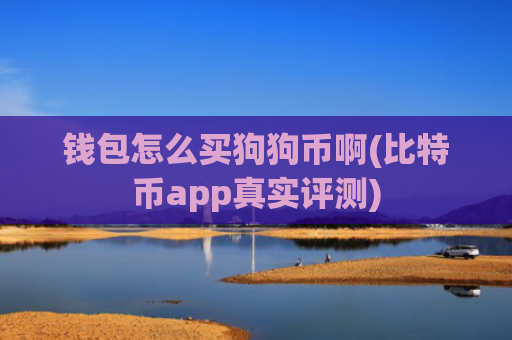 钱包怎么买狗狗币啊(比特币app真实评测)
