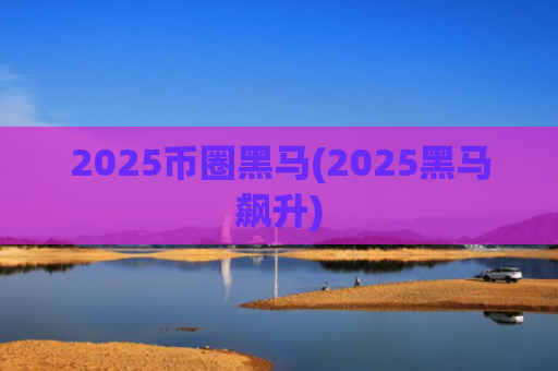 2025币圈黑马(2025黑马飙升)