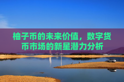 柚子币的未来价值，数字货币市场的新星潜力分析