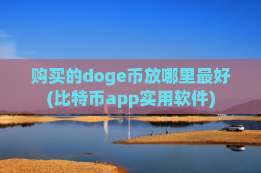购买的doge币放哪里最好(比特币app实用软件)