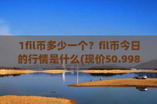 1fil币多少一个？fil币今日的行情是什么(现价50.9989元)