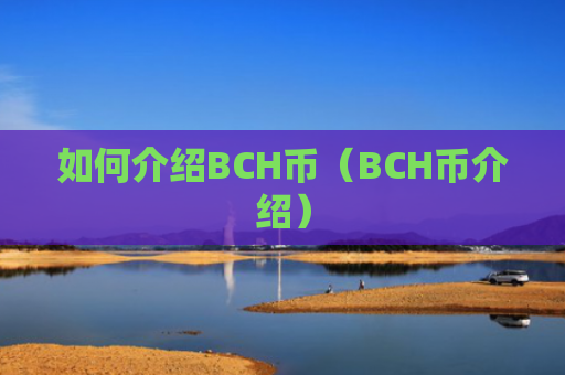 如何介绍BCH币（BCH币介绍）