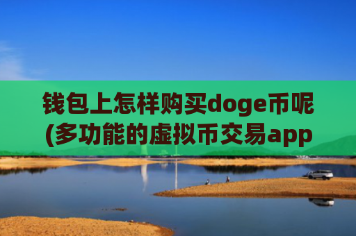 钱包上怎样购买doge币呢(多功能的虚拟币交易app)