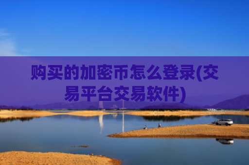 购买的加密币怎么登录(交易平台交易软件)