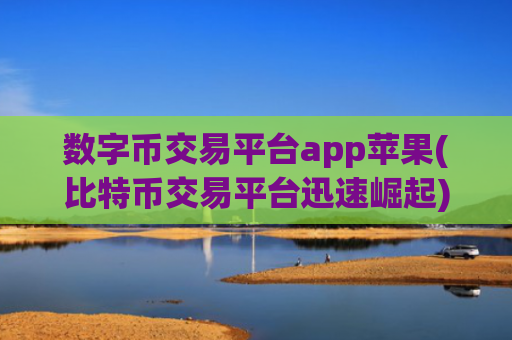 数字币交易平台app苹果(比特币交易平台迅速崛起)