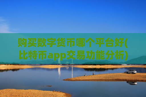 购买数字货币哪个平台好(比特币app交易功能分析)