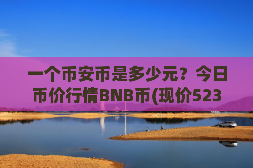 一个币安币是多少元？今日币价行情BNB币(现价5237.93元)