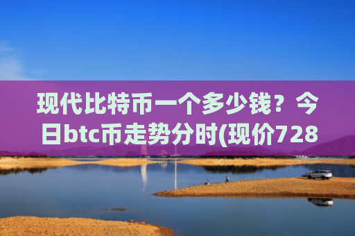 现代比特币一个多少钱？今日btc币走势分时(现价728322.3元)