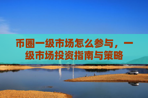 币圈一级市场怎么参与，一级市场投资指南与策略