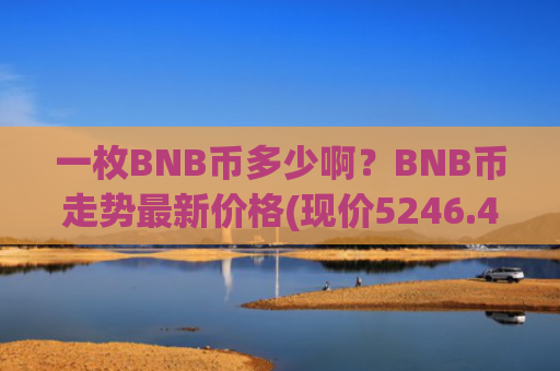 一枚BNB币多少啊？BNB币走势最新价格(现价5246.42元)