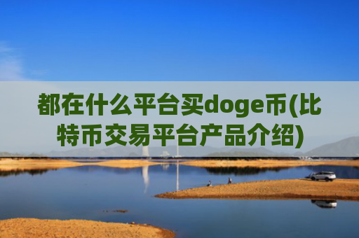 都在什么平台买doge币(比特币交易平台产品介绍)