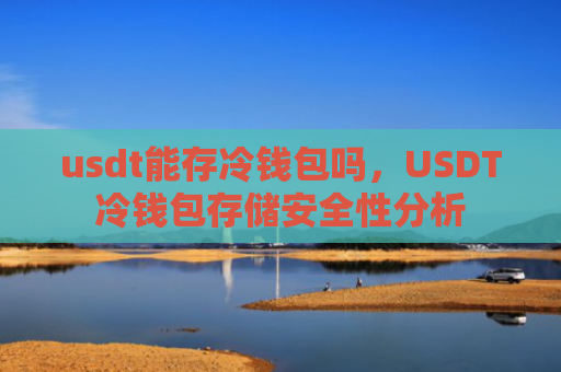 usdt能存冷钱包吗，USDT冷钱包存储安全性分析