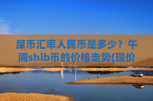 屎币汇率人民币是多少？午间shib币的价格走势(现价0.00020732元)