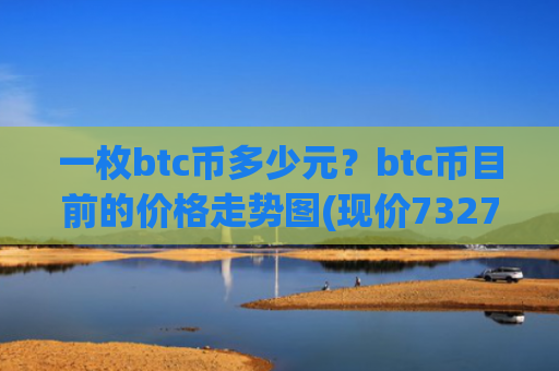一枚btc币多少元？btc币目前的价格走势图(现价732708.96元)