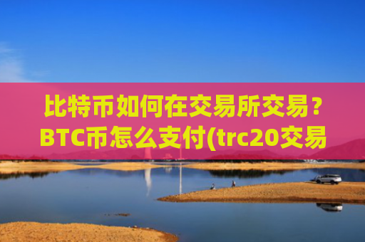 比特币如何在交易所交易？BTC币怎么支付(trc20交易平台)