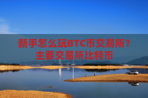 新手怎么玩BTC币交易所？主要交易所比特币