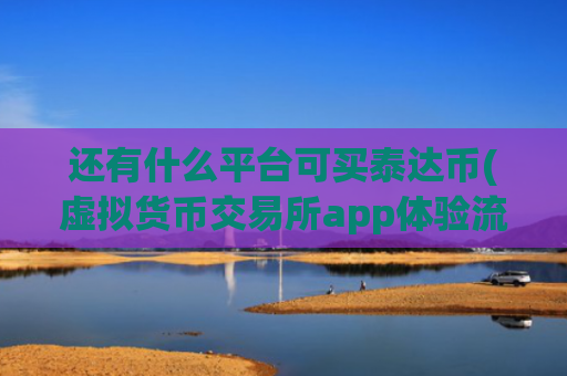还有什么平台可买泰达币(虚拟货币交易所app体验流畅)