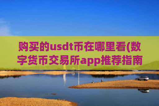 购买的usdt币在哪里看(数字货币交易所app推荐指南)