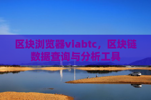 区块浏览器viabtc，区块链数据查询与分析工具