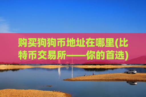 购买狗狗币地址在哪里(比特币交易所——你的首选)