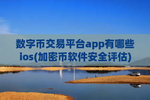 数字币交易平台app有哪些ios(加密币软件安全评估)