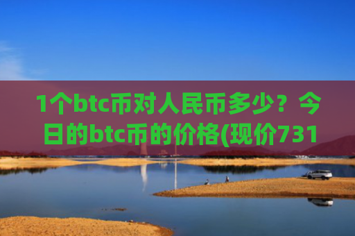 1个btc币对人民币多少？今日的btc币的价格(现价731064.19元)